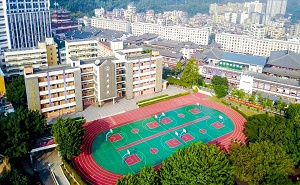 深圳市龍崗區(qū)東升學校