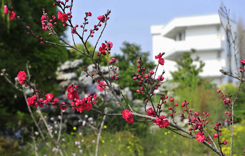 木里縣中學校