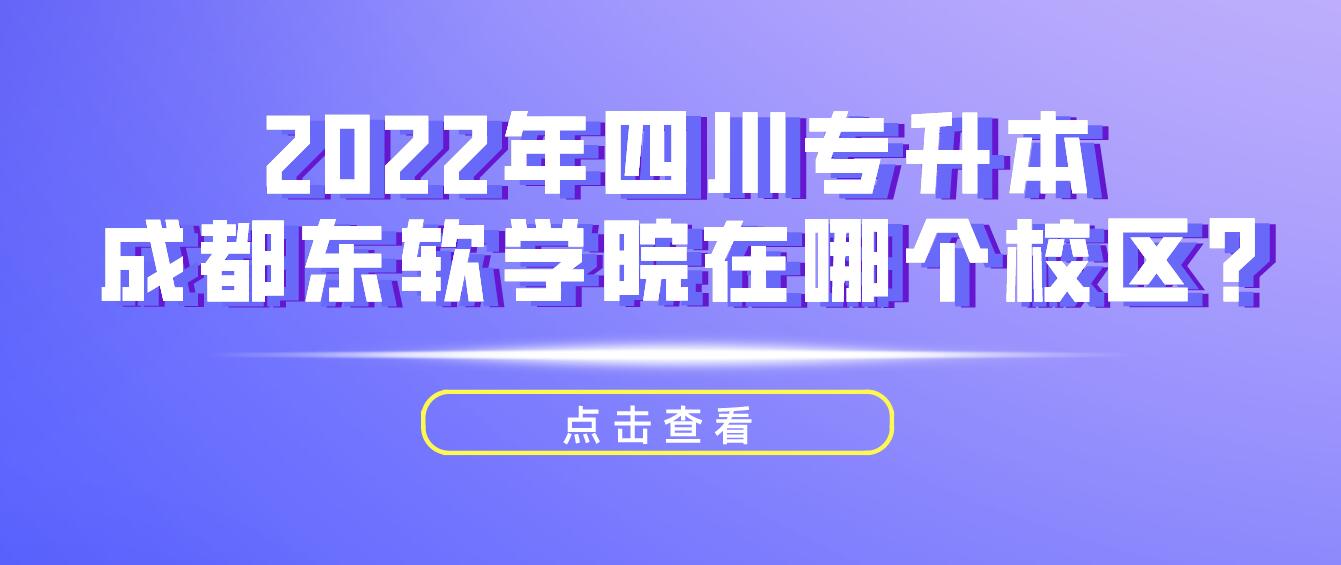 2022年四川專升本成都東軟學院在哪個校區(qū)?