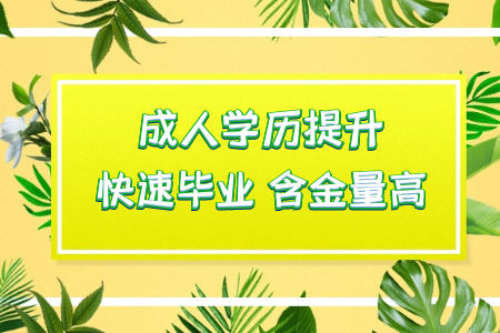 報(bào)考統(tǒng)考專升本需要了解的基本信息有哪些