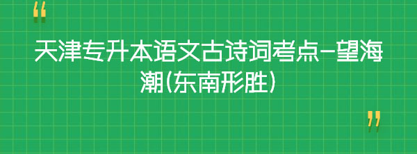 天津?qū)Ｉ菊Z文古詩詞考點-望海潮(東南形勝)