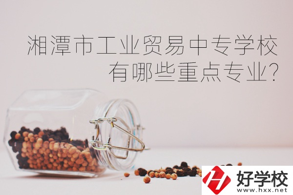 湘潭市工業(yè)貿(mào)易中等專業(yè)學校有哪些重點專業(yè)？