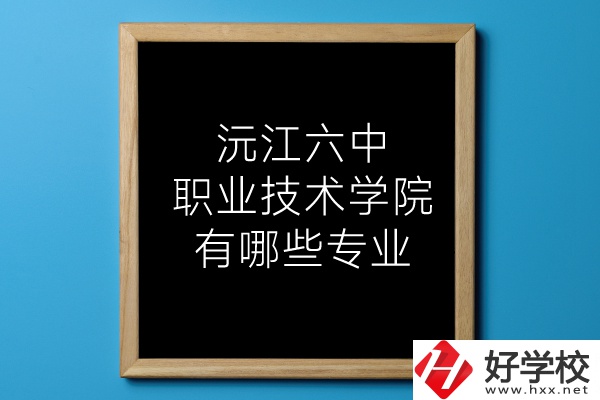 湖南沅江六中職業(yè)技術(shù)學(xué)院有哪些專業(yè)？