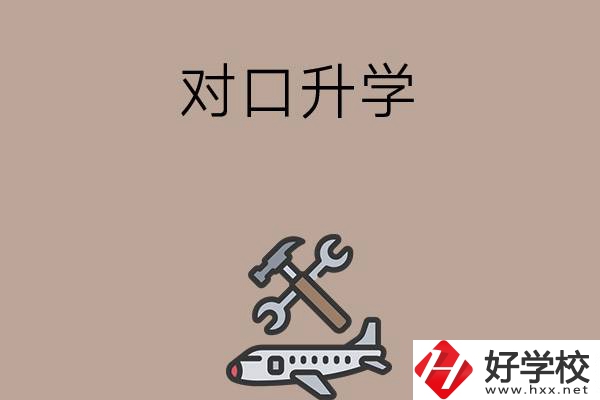 職高學(xué)生參加湖南省對口升學(xué)，有什么本科可以報考？