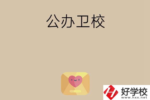 想在湖南上公辦衛(wèi)校？這所學(xué)校值得一看