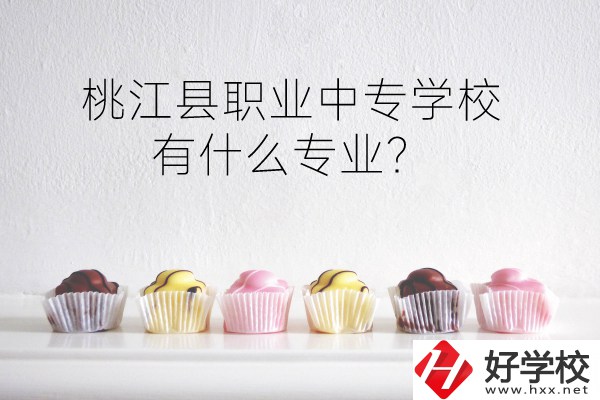 桃江縣職業(yè)中專學校到底好不好？有什么專業(yè)？