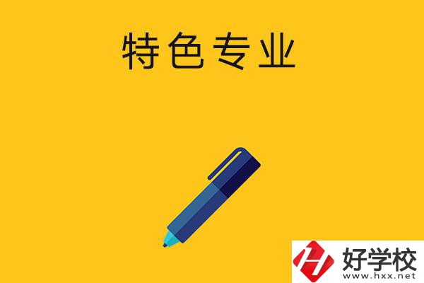 湖南的中職學(xué)校有哪些比較有特色的專業(yè)？