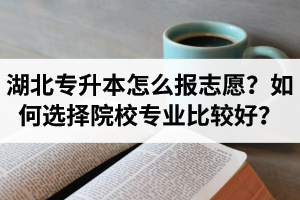 湖北省專升本怎么報志愿？如何選擇填報院校專業(yè)比較好？