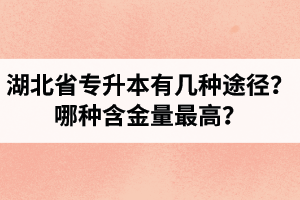 湖北省專升本有幾種途徑？哪種含金量最高？