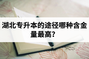 湖北普通專升本英譯漢段落翻譯分析應(yīng)該怎么做？