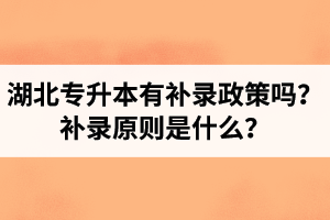 湖北專升本有補(bǔ)錄政策嗎？補(bǔ)錄原則是什么？