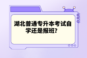 湖北普通專升本考試自學(xué)還是報班？