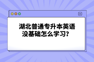 湖北普通專升本英語沒基礎(chǔ)怎么學(xué)習(xí)？