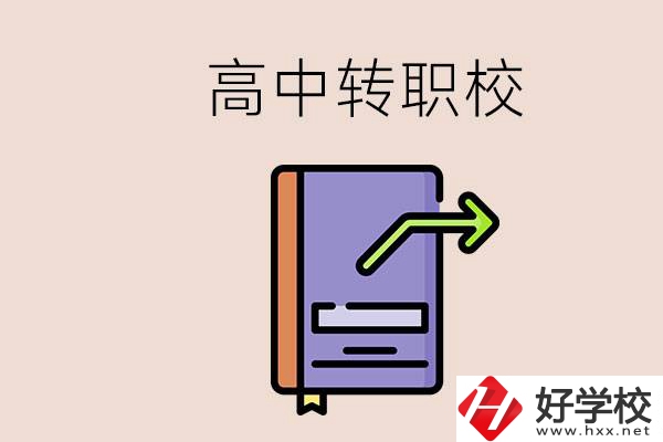 有在讀高中不想讀轉(zhuǎn)職校的例子嗎？能轉(zhuǎn)到湖南職校嗎？