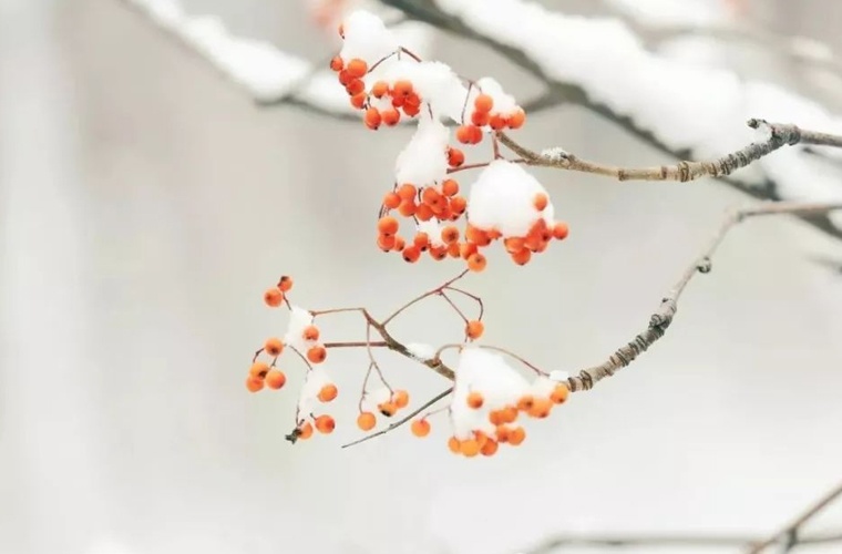 黔南藝術(shù)設(shè)計學(xué)校