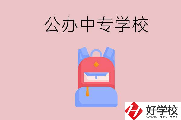 婁底有什么公辦中專學(xué)校？教學(xué)怎么樣？