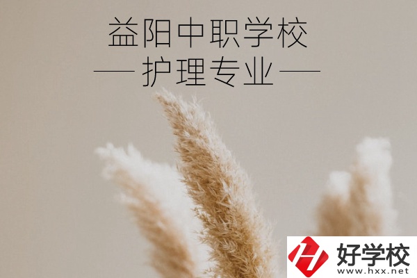 益陽護(hù)理專業(yè)的中職學(xué)校有哪些？需要哪些要求？