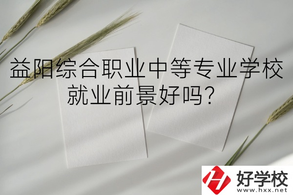 益陽(yáng)綜合職業(yè)中等專業(yè)學(xué)校如何？就業(yè)前景好嗎？