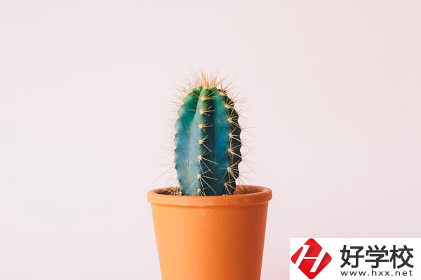 長(zhǎng)沙有哪些中職學(xué)校可以學(xué)習(xí)幼師專業(yè)？