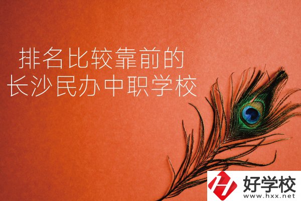 長(zhǎng)沙哪些民辦中職學(xué)校排名比較靠前？