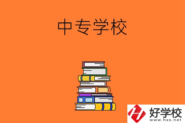 懷化市有哪些公立的中專學(xué)校？