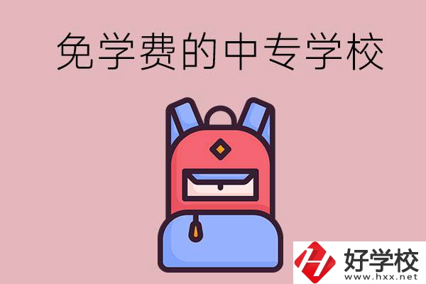 郴州市的中專哪些是免學(xué)費的？