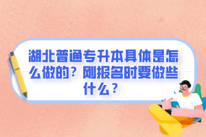 湖北普通專升本具體是怎么做的？剛報(bào)名時(shí)要做些什么？