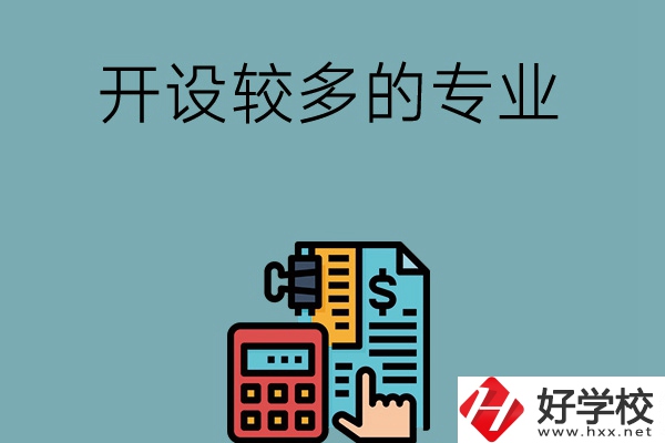 湖南的中職學(xué)校開設(shè)較多的專業(yè)是哪些？