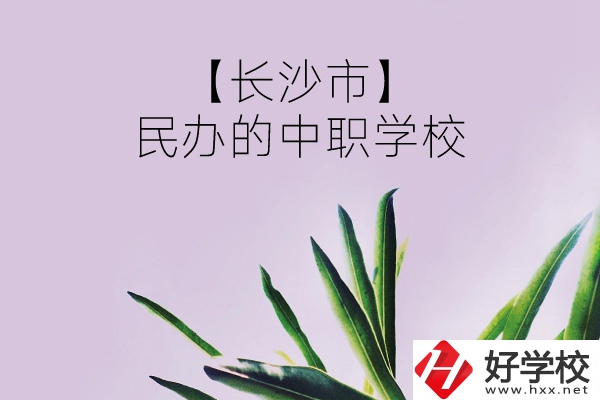 長(zhǎng)沙市有哪些民辦的中職學(xué)校？