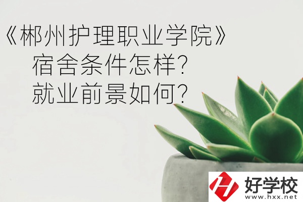 郴州護理職業(yè)學院宿舍條件怎樣？就業(yè)前景如何？