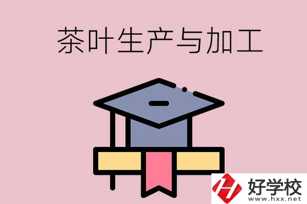 湖南哪些技校開設了茶葉生產(chǎn)與加工專業(yè)？