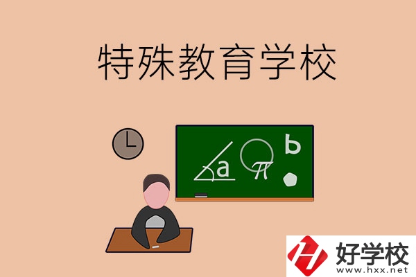 湖南省有哪些特殊教育學(xué)校？