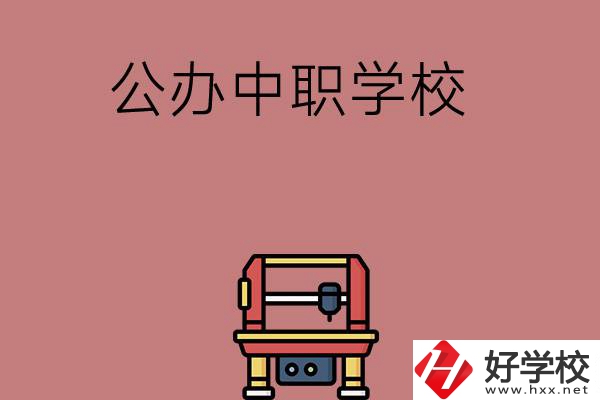 長沙可以學(xué)計算機應(yīng)用專業(yè)的公辦中職學(xué)校有哪些？