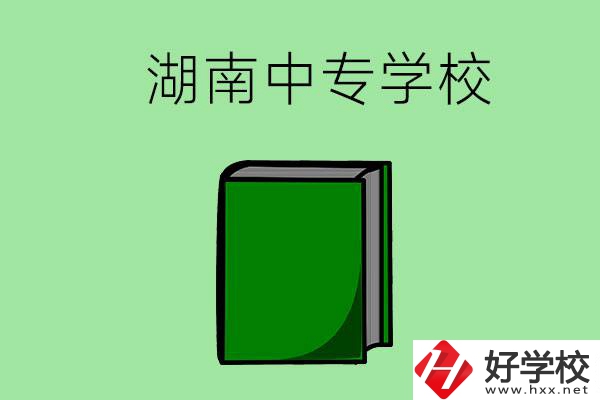 湖南的中專學校有哪些？都開設了哪些專業(yè)？