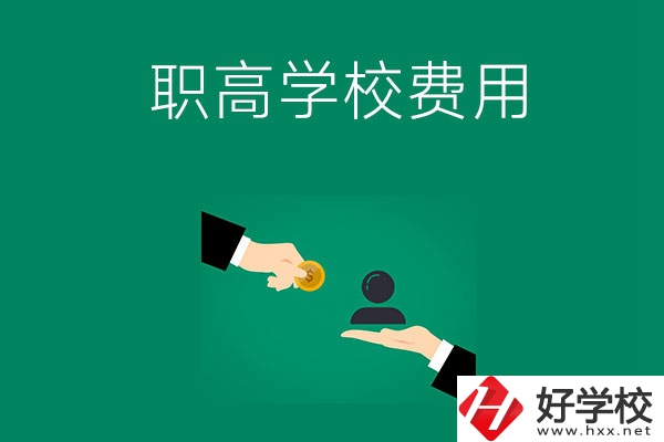 上懷化的公立職高學(xué)校要多少費(fèi)用？