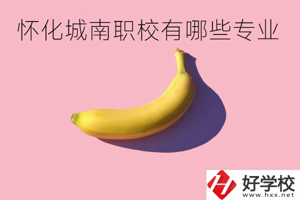 懷化城南職業(yè)學校有哪些專業(yè)？學校好不好？