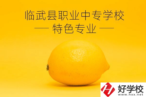 臨武縣職業(yè)中專學(xué)校好嗎？有哪些特色專業(yè)？