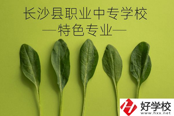 長沙縣職業(yè)中專學(xué)校怎么樣？有什么特色專業(yè)？