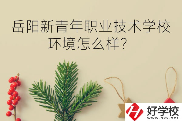 岳陽新青年職業(yè)技術學校好不好？環(huán)境怎么樣？