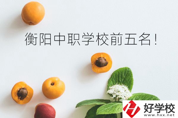 衡陽中職學(xué)校前五名！你選對(duì)了嗎？