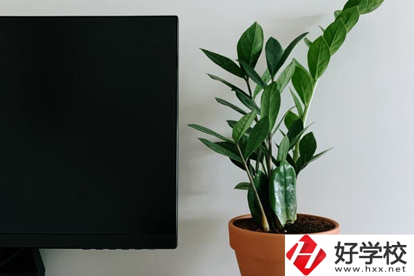 岳陽市網(wǎng)絡工程職業(yè)技術學校有哪些熱門專業(yè)？