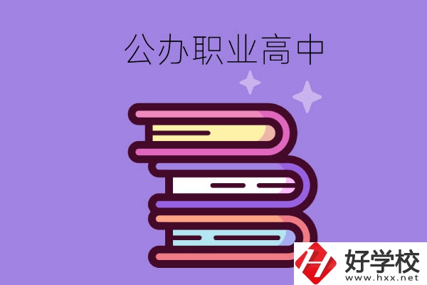 長(zhǎng)沙市有哪些公辦職業(yè)高中學(xué)校？