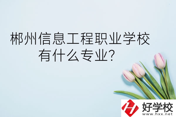 郴州信息工程職業(yè)學校有什么專業(yè)？