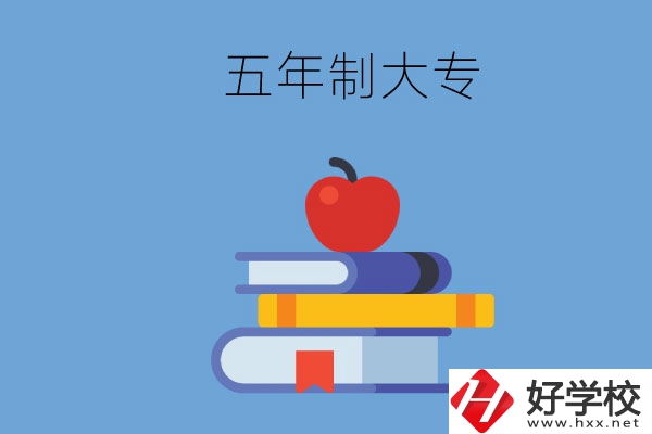 長(zhǎng)沙開(kāi)設(shè)教育類專業(yè)的五年制大專有哪些？