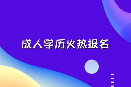 成人專升本的本科學歷用處大嗎?