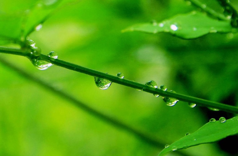 沙洋職業(yè)技術(shù)教育中心有機(jī)械加工技術(shù)專業(yè)嗎?