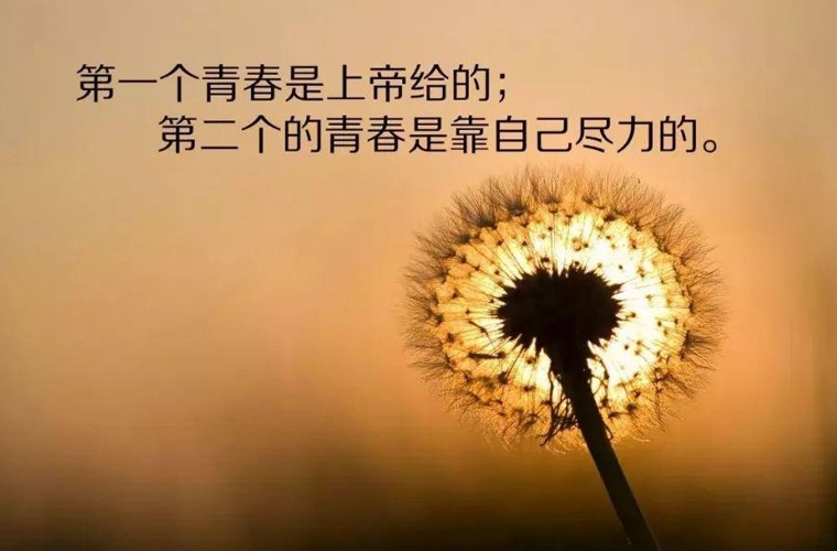 臨汾中考200分左右能讀什么學校