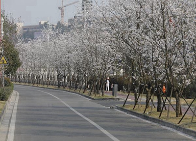 鄭州2023年供用電技術(shù)專業(yè)哪個中專學(xué)校好