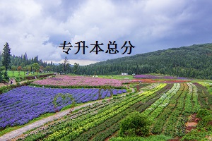 專升本總分