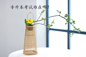 專升本考試難在哪？
